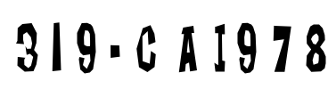 319-CAI978