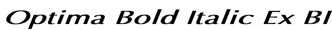 Optima Bold Italic Ex BI Font Image