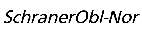 SchranerObl-Nor Font Image