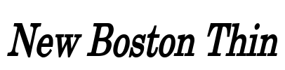 New Boston Thin Font Image