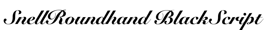SnellRoundhand BlackScript Font Image