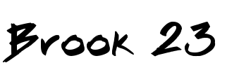 Brook 23