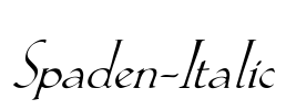 Spaden-Italic Font Image
