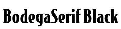 BodegaSerif Black Font Image