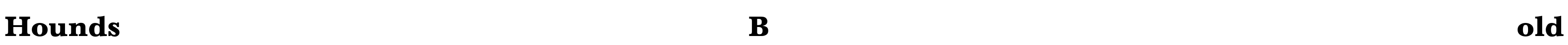 Hounds Bold Font Image