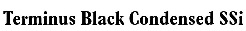 Terminus Black Condensed SSi Font Image