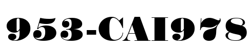953-CAI978