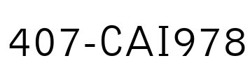 407-CAI978