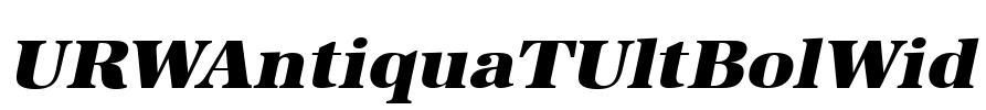 URWAntiquaTUltBolWid