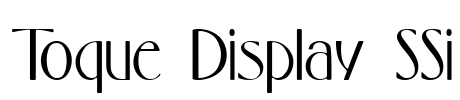 Toque Display SSi