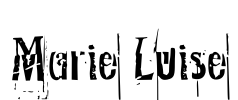 Marie Luise Font Image