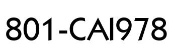 801-CAI978