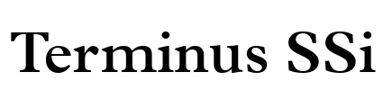 Terminus SSi Font Image