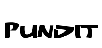Pundit Font Image