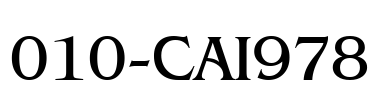 010-CAI978 Font Image
