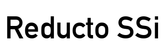 Reducto SSi Font Image
