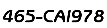 465-CAI978 Font Image
