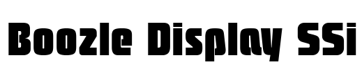 Boozle Display SSi