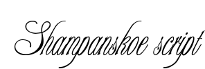 Shampanskoe script Font Image