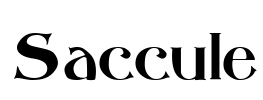 Saccule Font Image