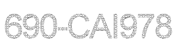 690-CAI978