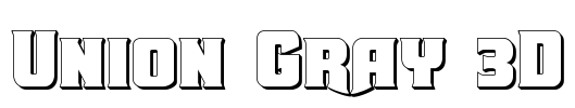 Union Gray 3D