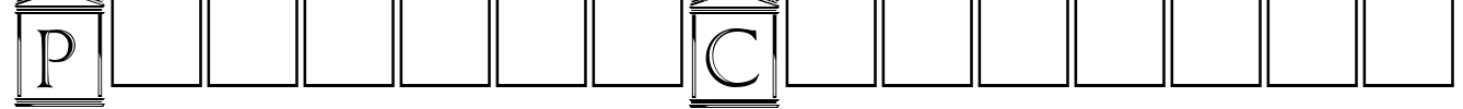 PaladinCapitals