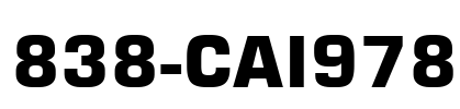838-CAI978