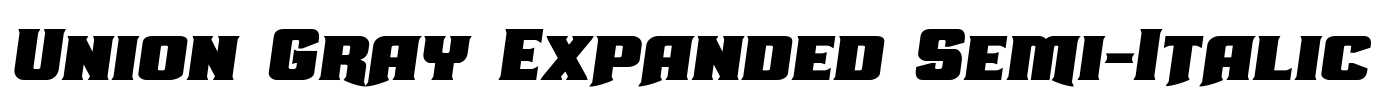 Union Gray Expanded Semi-Italic