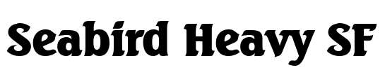 Seabird Heavy SF Font Image