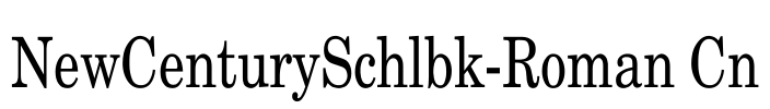 NewCenturySchlbk-Roman Cn