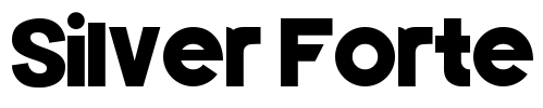 Silver Forte Font Image