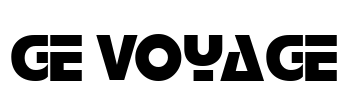 GE Voyage