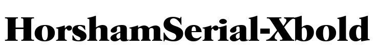 HorshamSerial-Xbold Font Image