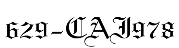 629-CAI978