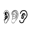 Ear