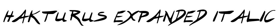 Hakturus Expanded Italic Font Image