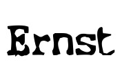 Ernst Font Image