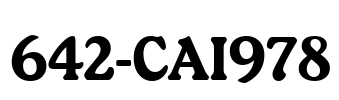 642-CAI978 Font Image