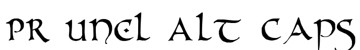PR Uncl Alt Caps Font Image