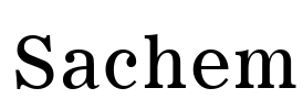 Sachem