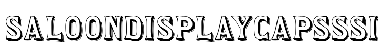 SaloonDisplayCapsSSi