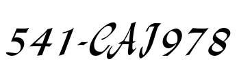 541-CAI978