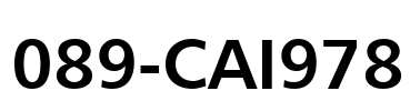 089-CAI978 Font Image