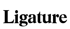 Ligature Font Image