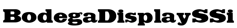 BodegaDisplaySSi
