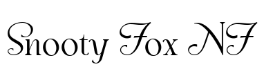 Snooty Fox NF Font Image
