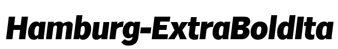 Hamburg-ExtraBoldIta Font Image
