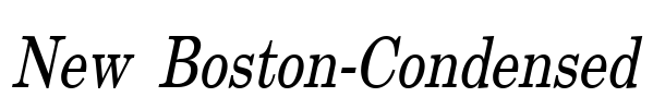 New Boston-Condensed Font Image