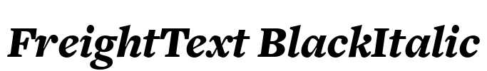 FreightText BlackItalic